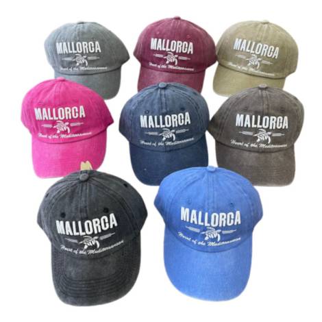 8978350 - Capulina gorra mallorca sea turtle